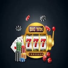 5533bet